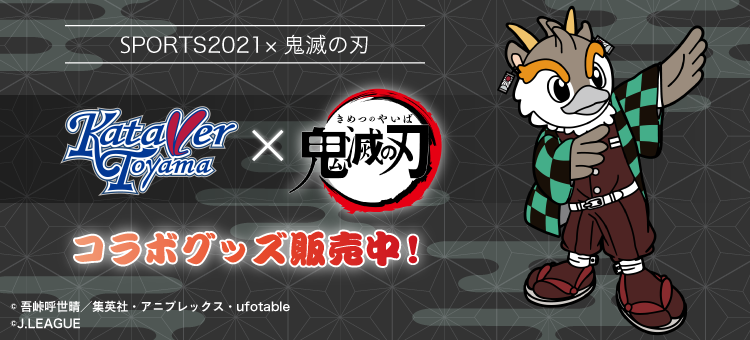 カターレ富山公式オンラインストア 公式 ｊリーグオンラインストア J League Online Store