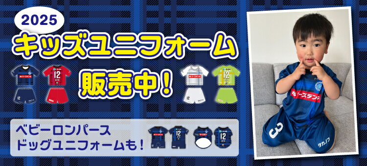 ホーリーくんぬいぐるみLLサイズの販売について | 水戸ホーリー