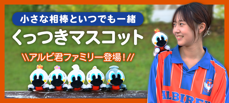 アルビレックス　入場特典　ホッケー　スワンロゴシャツなど　8点セット　応援グッズ アルビレックス 入場特典 ホッケー スワンロゴシャツなど 8点