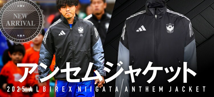 アルビレックス新潟｜【公式】Jリーグオンラインストア J.LEAGUE