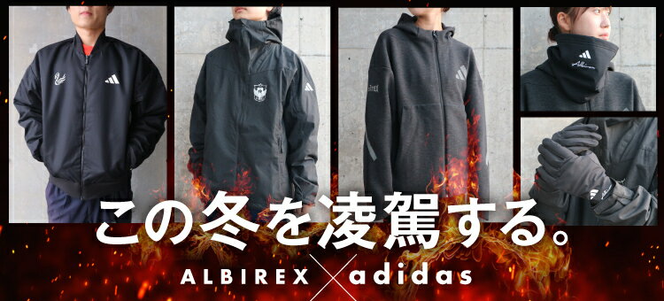 【即日発送 新品タグ付】アルビレックス新潟 2008 限定ユニフォーム #12 株式会社新潟日報社 ユニフォームパートナー契約締結（継続）の