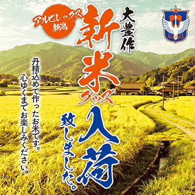 アルビレックス新潟｜【公式】Jリーグオンラインストア J.LEAGUE