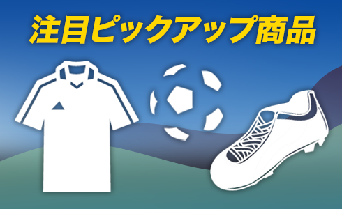 ピックアップ