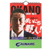 ガイナーレ鳥取