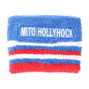 水戸ホーリーホック