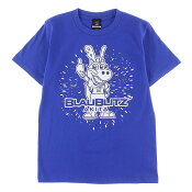 ブラウブリッツ秋田