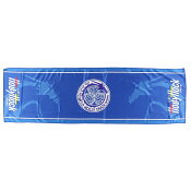 水戸ホーリーホック