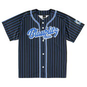 ブラウブリッツ秋田