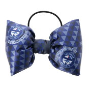 鹿児島ユナイテッドＦＣ