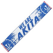 ブラウブリッツ秋田