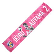 テゲバジャーロ宮崎