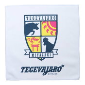 テゲバジャーロ宮崎