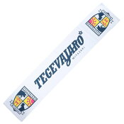 テゲバジャーロ宮崎