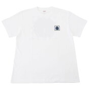 徳島ヴォルティス