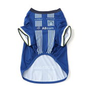 モンテディオ山形