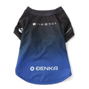 モンテディオ山形