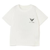 ガイナーレ鳥取