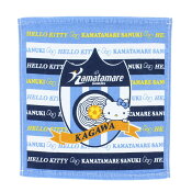 カマタマーレ讃岐