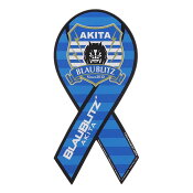 ブラウブリッツ秋田