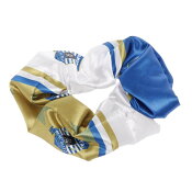 ブラウブリッツ秋田