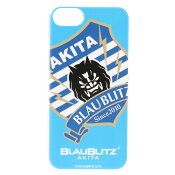 ブラウブリッツ秋田