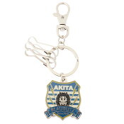 ブラウブリッツ秋田