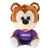 サンフレッチェ広島