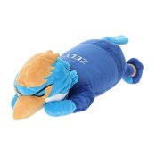 ＦＣ町田ゼルビア