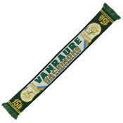 ヴァンラーレ八戸FC