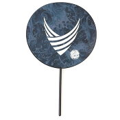 徳島ヴォルティス