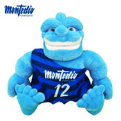 モンテディオ山形