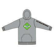 ガイナーレ鳥取