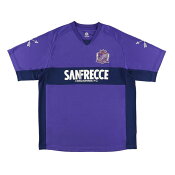 サンフレッチェ広島