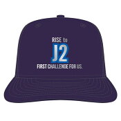 ブラウブリッツ秋田