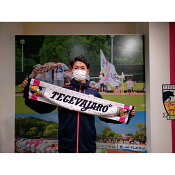 テゲバジャーロ宮崎