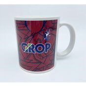 ファジアーノ岡山