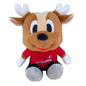 鹿島アントラーズ