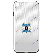 ブラウブリッツ秋田