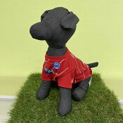 モンテディオ山形