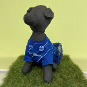 モンテディオ山形