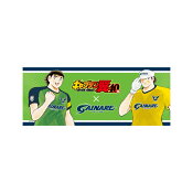 ガイナーレ鳥取