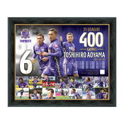 サンフレッチェ広島