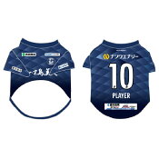 鹿児島ユナイテッドＦＣ