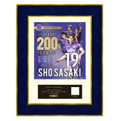 サンフレッチェ広島