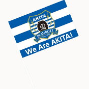 ブラウブリッツ秋田