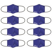 サンフレッチェ広島