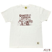 サンフレッチェ広島