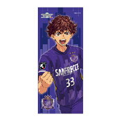 サンフレッチェ広島