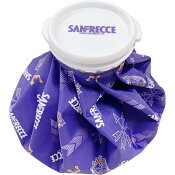 サンフレッチェ広島