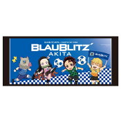 ブラウブリッツ秋田